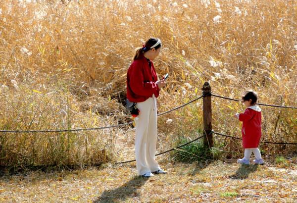 去奧森公園，盡享“京”彩秋色 #秋日好時光##小生活，大財富#
