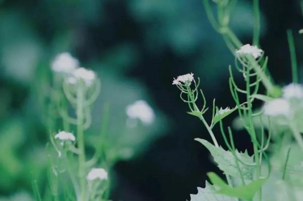 戴首飾的煩惱 戴首飾的煩惱