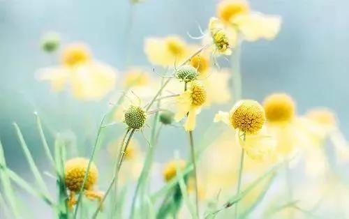 成年人的世界從來沒有容易兩字，能輕易放下的只是生命中的過客