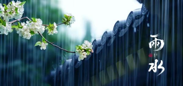 今日雨水｜雨的詩詞，美得心醉