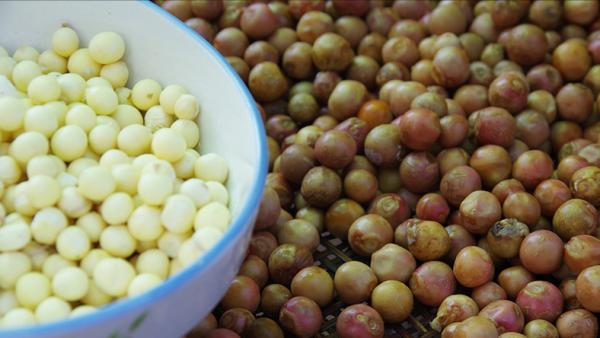 入深秋,別忘記吃“江南水八仙”,健脾祛溼、養心潤肺,舒服過秋 入深秋,別忘記吃“江南水八仙”,健脾祛溼、養心潤肺,舒服過秋