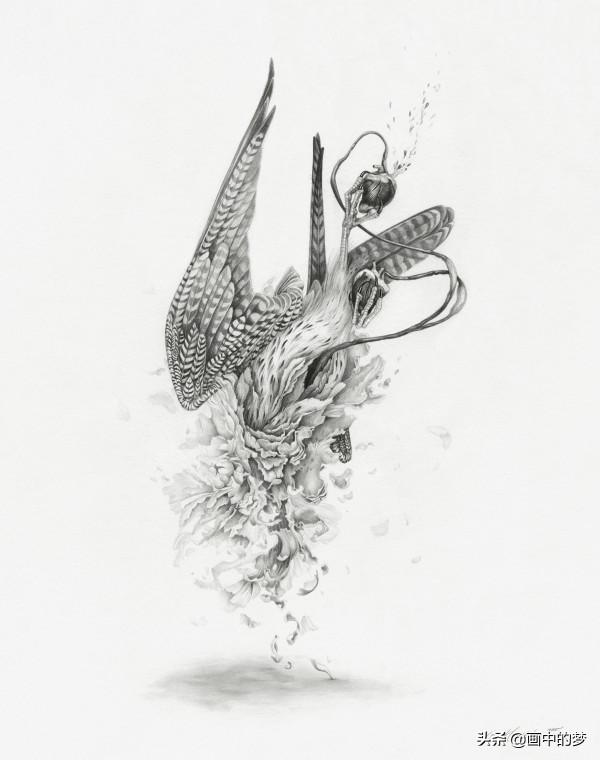 被羽毛包圍的鳥兒緊緊抓住他們流血的心 被羽毛包圍的鳥兒緊緊抓住他們流血的心