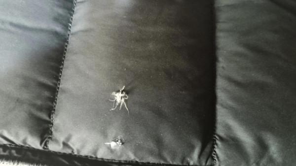 羽絨服掛破個洞，總跑毛，扔掉怪可惜怎麼辦呢？