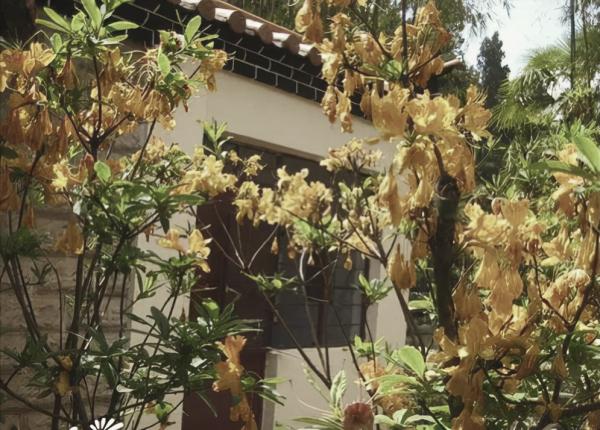 民間奇案：男子離奇身亡，懷揣丈夫錢袋，縣令錯判，狄公翻案