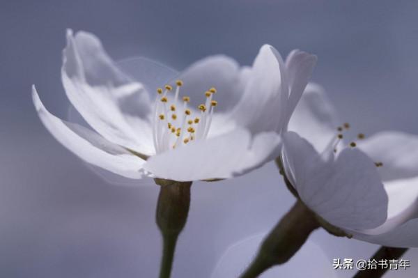 自己消化情緒，是成年人該有的自覺