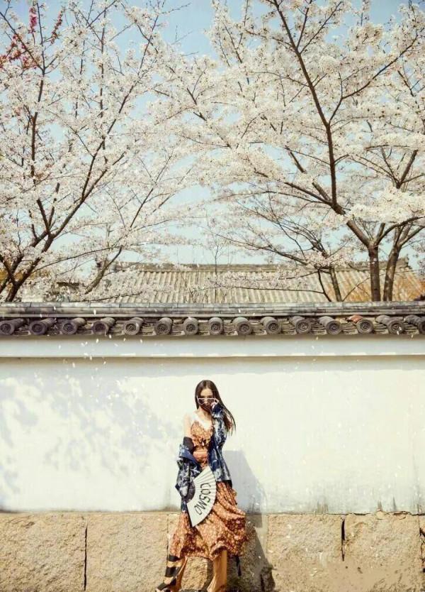 楊冪一波美照來襲