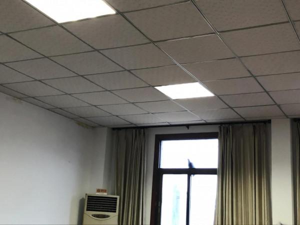 一隻愛學習的鳥