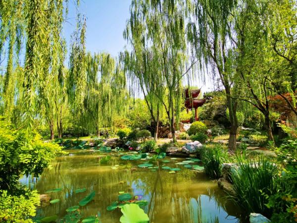 多圖直擊 醉美園博園