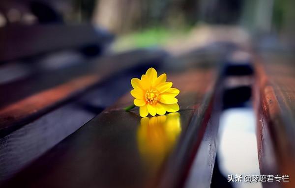 一種高階的人生活法：慢