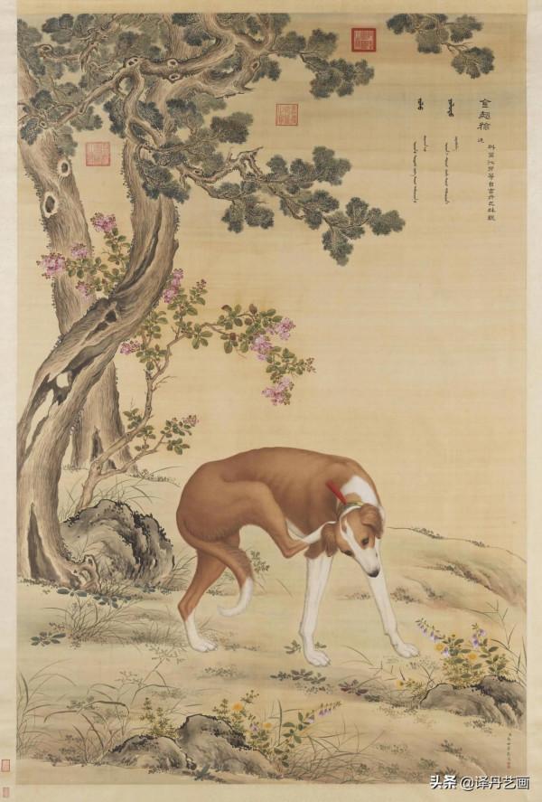 清朝皇室裡那些身份顯赫的名貴狗都長這樣