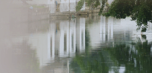 【探索】養在青吳嘉~靜享夏日，江南鄉村美如畫