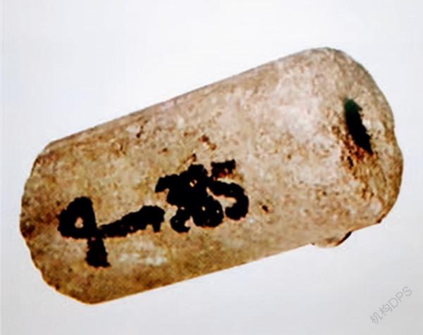 真實記載，新四軍兵工廠土製武器匯