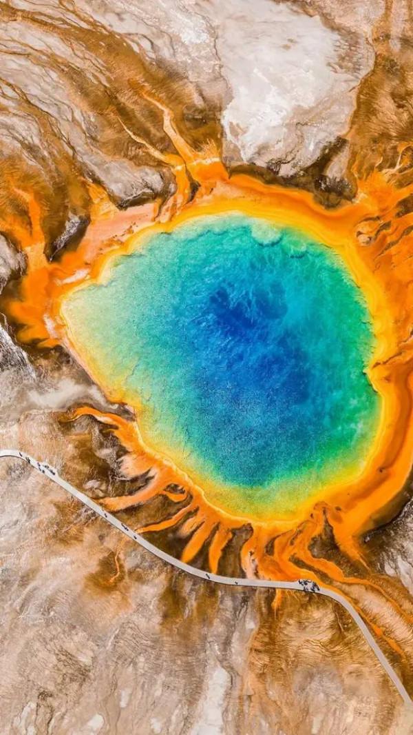 成年人玩得這麼野，小心把命都玩丟了