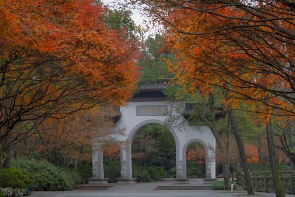 金秋十月，沉醉在江南絕美的秋色中，經典還免費