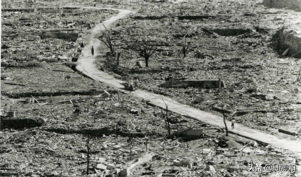 看了北野武對日本的不甘心，你會明白趙婷有多壞