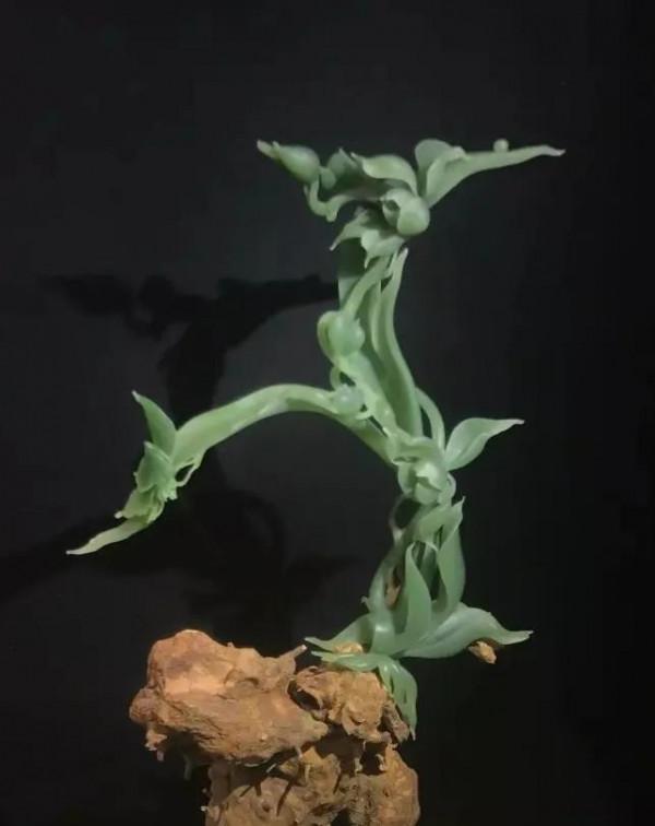 中國“天工獎”（21屆）