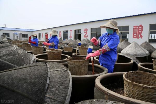 全國4款放心味極鮮,因價廉遭受質疑,卻是100%純豆純麥精製而成 全國4款放心味極鮮,因價廉遭受質疑,卻是100%純豆純麥精製而成