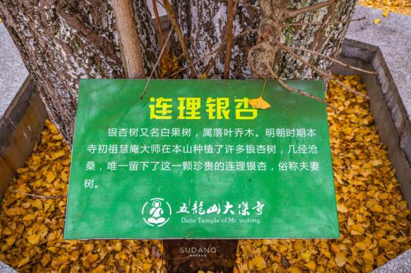 湖南有座古剎，相傳被“五條龍”守護，是湘潭境內四大古剎之一