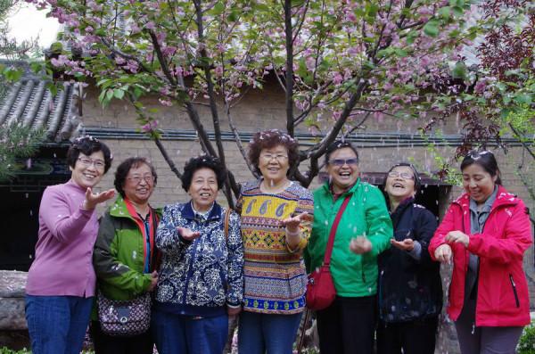 寄情山水 白馬寺 牡丹園 龍門石窟 皇城府 王莽嶺 畢業51年同學會（1）