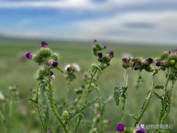 一年出門10個月縱橫30000公里，倆人一車要花多少錢？你能猜到嗎