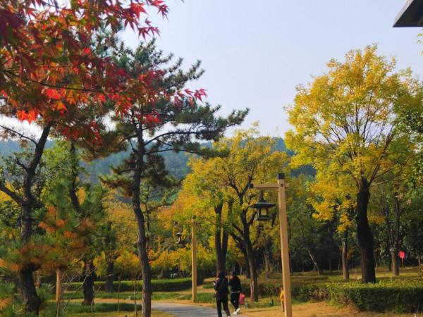 膠州之行_龍門古街