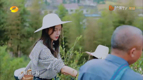 朱丹被農村廁所嚇退，賈玲就地解決，沈夢辰為啥還愛上了農村？