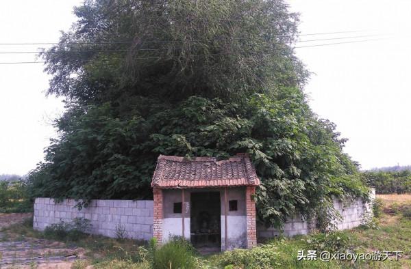 兩千年前劉邦登基稱帝的地方，會是現在山東定陶的這處土堌堆嗎？