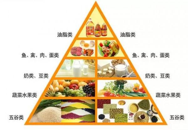 高階跑者的跑步秘訣,5大營養元素是關鍵 高階跑者的跑步秘訣,5大營養元素是關鍵