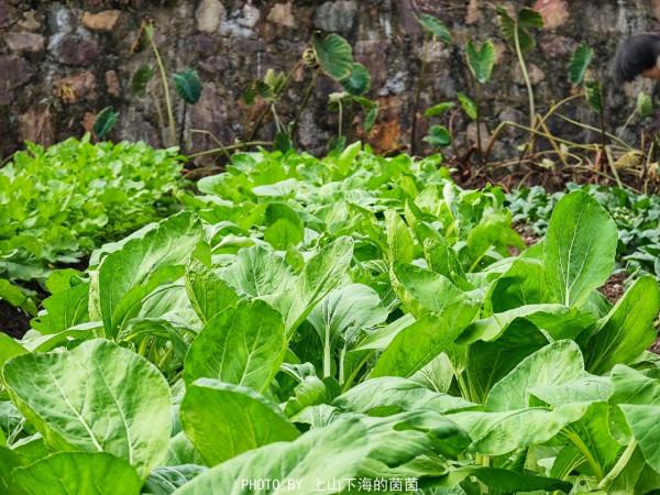 走進莫干山治癒系民宿,在禪意滿滿天真樂元靜心酒店遇見最真自己 走進莫干山治癒系民宿,在禪意滿滿天真樂元靜心酒店遇見最真自己