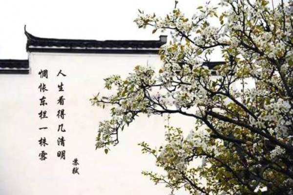 蘇軾寫給友人的這一詩，寫的是梨花，說的卻是人生