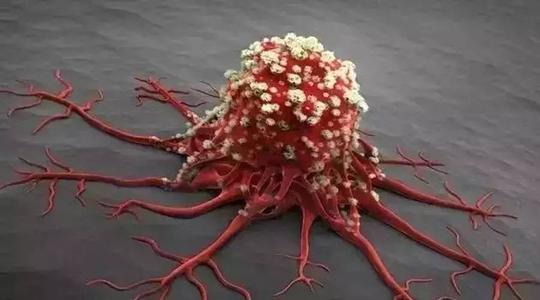 癌症病人能不能接種新冠疫苗？