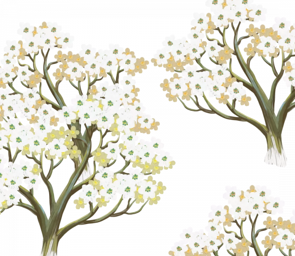 極端天氣影響農業生產,農戶該怎麼辦? 極端天氣影響農業生產,農戶該怎麼辦?