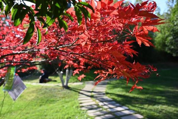 冬天的龍潭公園景色迷人