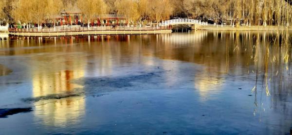 《冬日裡的鏡頭》之三：精靈鷗寶篇