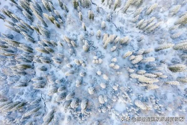 大雪｜那拉提的雪景讓你心動了嗎？