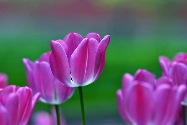 未來10天，人緣不錯的4個星座，朋友越來越多，用真誠贏得信賴