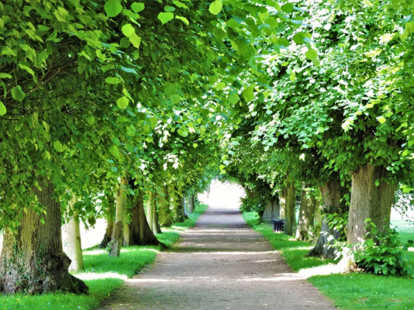 厭倦了城市風景?這些迷人的英式鄉間花園瞭解一下 厭倦了城市風景?這些迷人的英式鄉間花園瞭解一下
