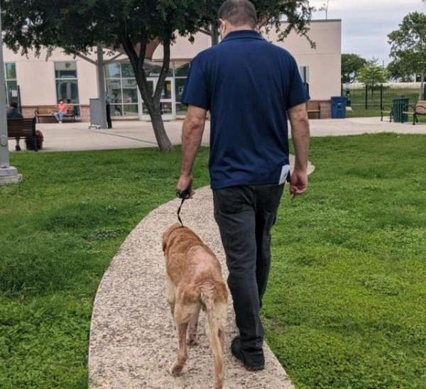 老狗與主人10年後重逢，它一眼就認出“爸爸”，眼裡含滿了淚水