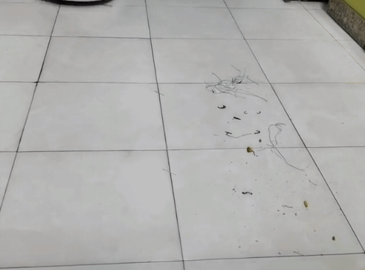 這次連水都不用你倒了，自動上下水！雲鯨J2掃拖一體機體驗