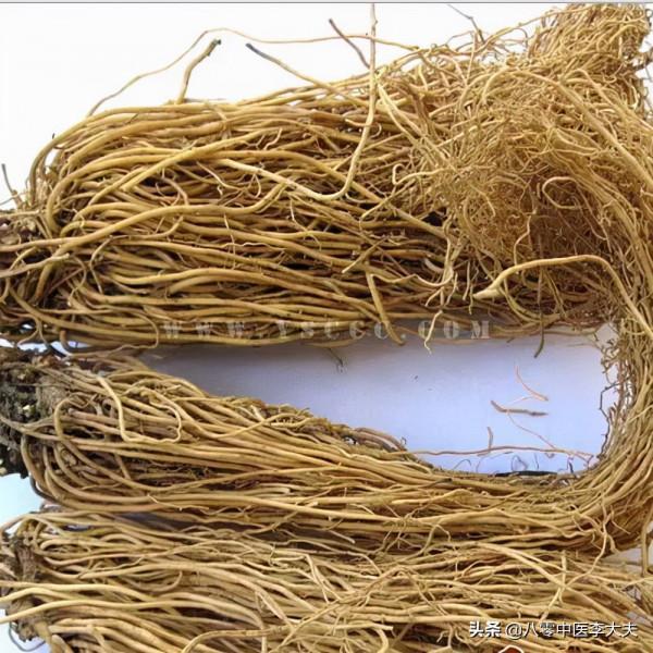 手腳冰涼，生凍瘡，怕風怕冷，渾身竄著疼？7味中藥幫你解除痛苦