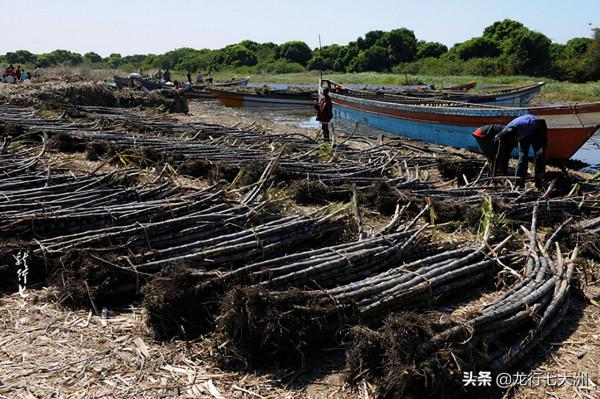 「查德」走進“查德湖”上的島嶼村莊