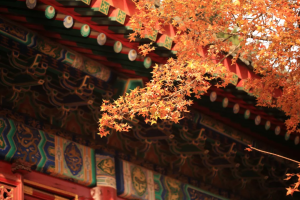 漢字中的文化，說文解“悔”