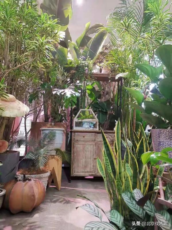 轉角遇見秘密花園,是冬日最幸運的事情之一 轉角遇見秘密花園,是冬日最幸運的事情之一