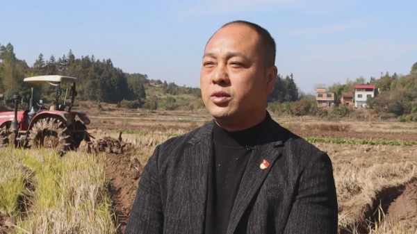 集中採訪走進龍海 | 官陂村:土地流轉“轉出”惠民路 集中採訪走進龍海 | 官陂村:土地流轉“轉出”惠民路