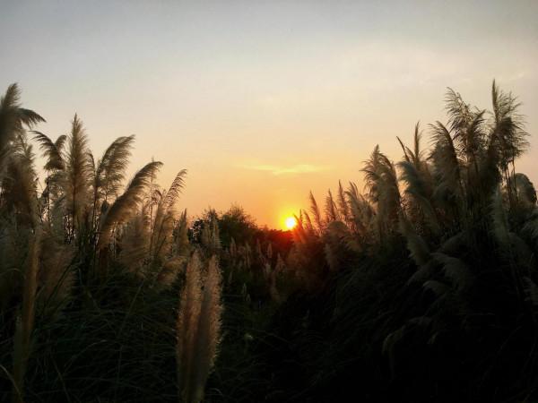 三垟溼地落日夕陽