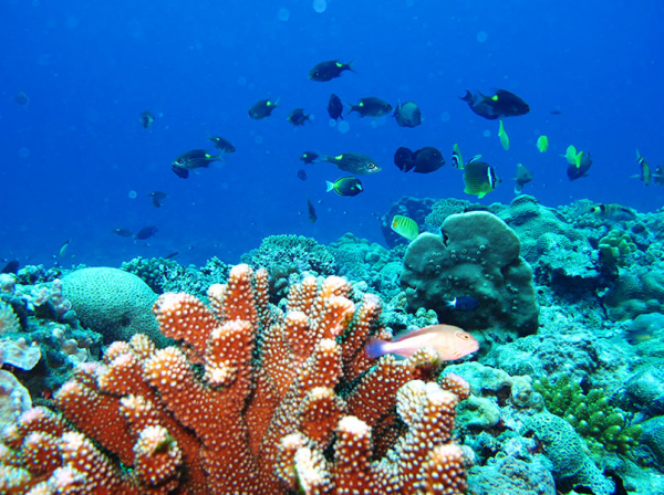 我國6個不“對外開放”的景區，四川就有兩個，你去過幾個？