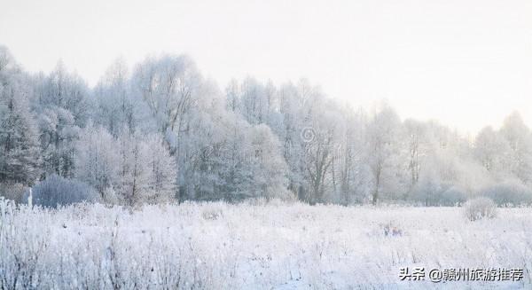 絕美！從晉朝走來的青蓮古寺，霧凇美景出現，又再次驚豔了世人