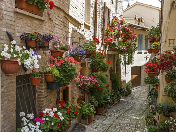 花神曾經棲息的地方原來在義大利的斯佩羅Spello 愛花人的夢想之城 花神曾經棲息的地方原來在義大利的斯佩羅Spello 愛花人的夢想之城