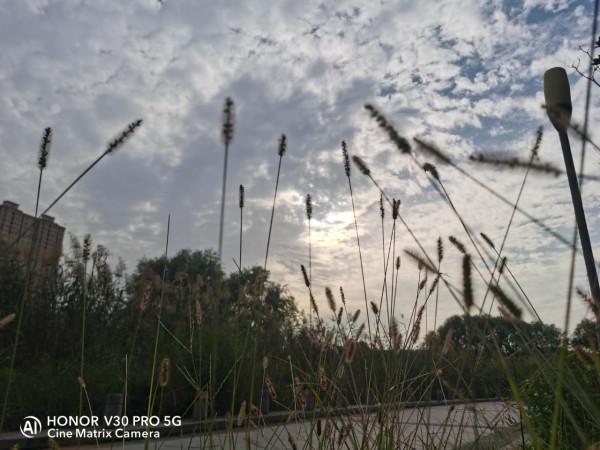日常生活影像記錄，榮耀V30 Pro鏡頭裡的藍天