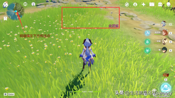 原神四方之網可捕捉小動物位置彙總一覽